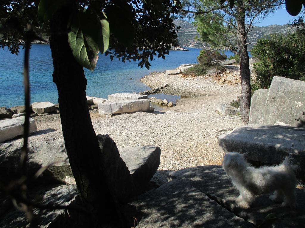 Relax Tiny Villas 40 Meters Of The Beach Zrnovo المظهر الخارجي الصورة